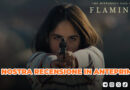 Lo sguardo misterioso del fenicottero - La nostra recensione (2026)